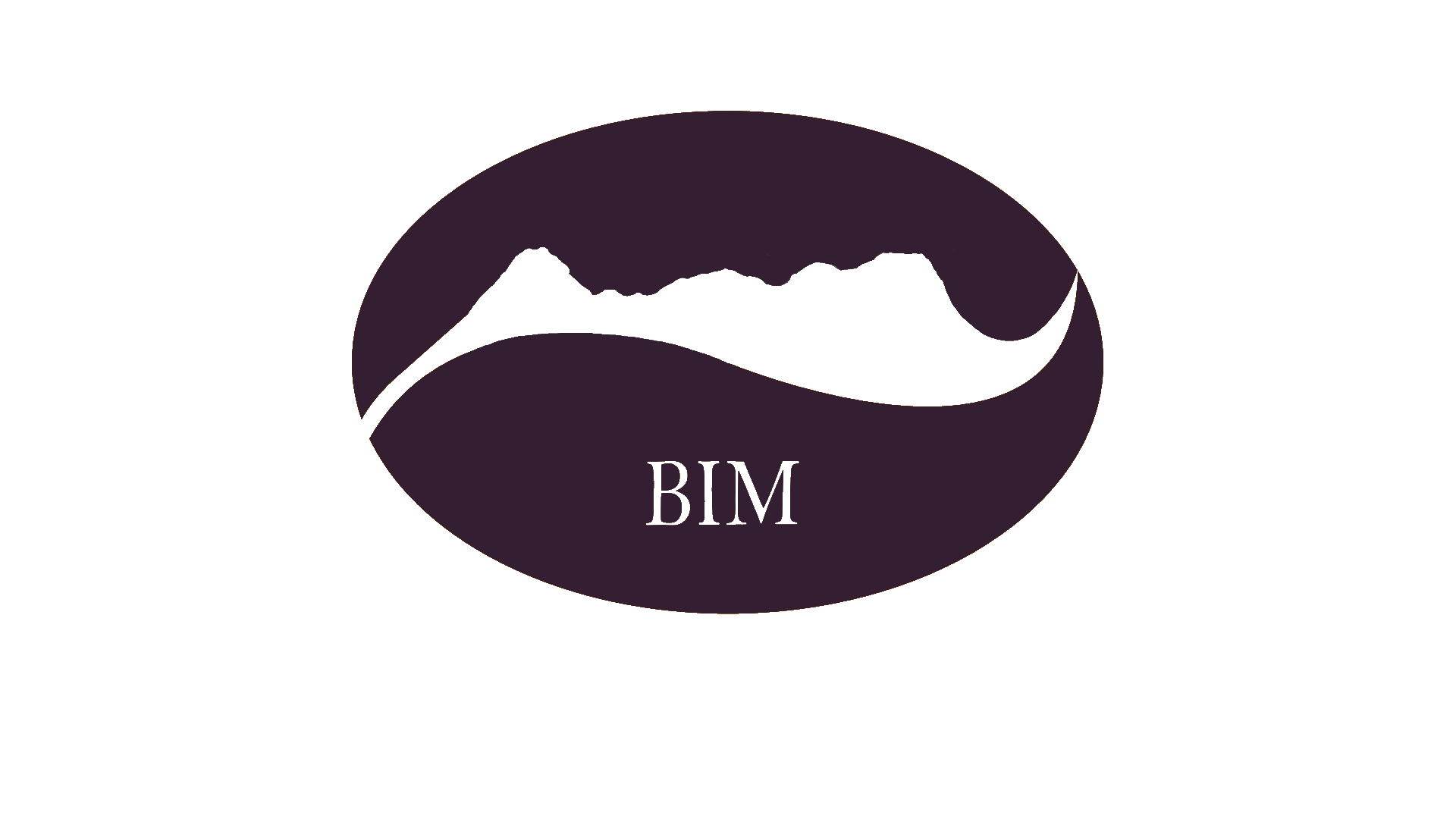 BIM